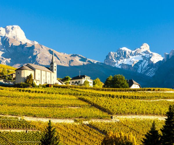 Domaine Brunely L'Angless Châteauneuf-du-Pape AOP 2020 - Oferta