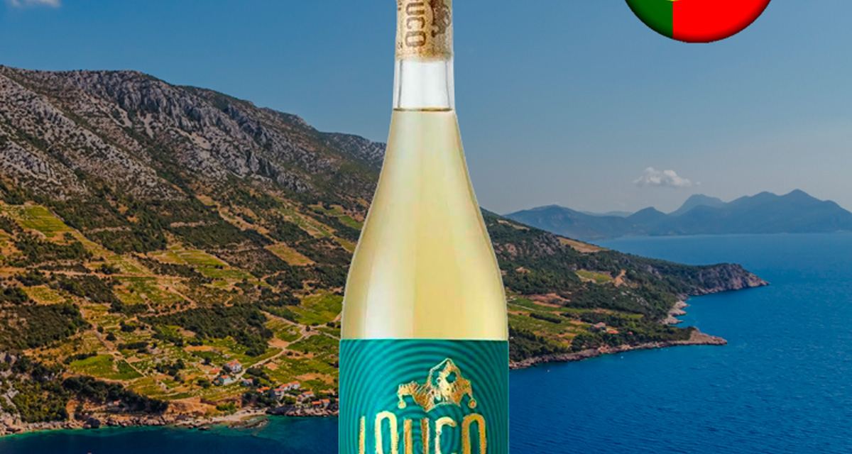 António Saramago Filho Louco Branco 2019 - Oferta