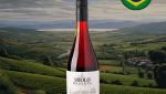 Miolo Reserva Pinot Noir - Oferta