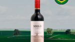 Miolo Seleção Touriga Nacional & Tempranillo - Oferta