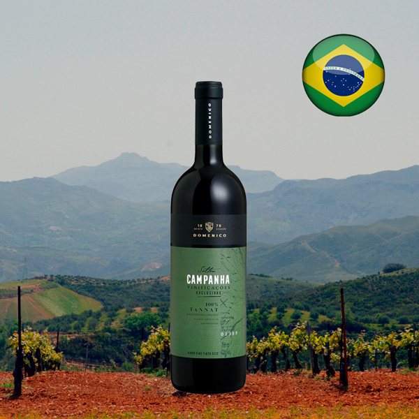 Salton Campanha Tannat - Oferta