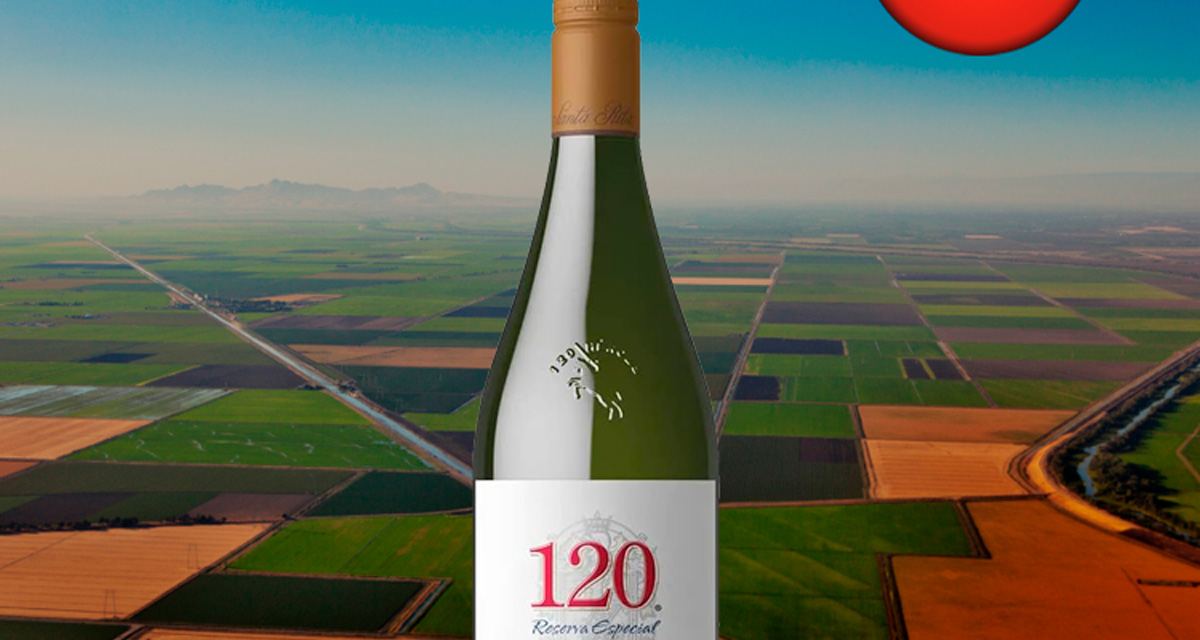 Santa Rita 120 Reserva Chardonnay 2020 - Oferta
