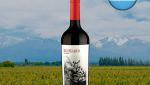 Susana Balbo BenMarco Malbec 2019 - Oferta