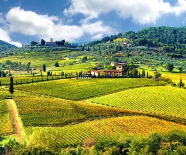 Villa D'Ancona IL Pisani Chianti Riserva DOCG 2019 