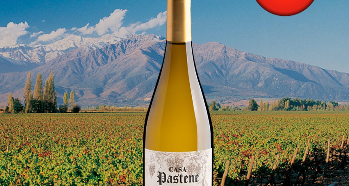 Casa Pastene Chardonnay Central Valley DO 2022 - Oferta