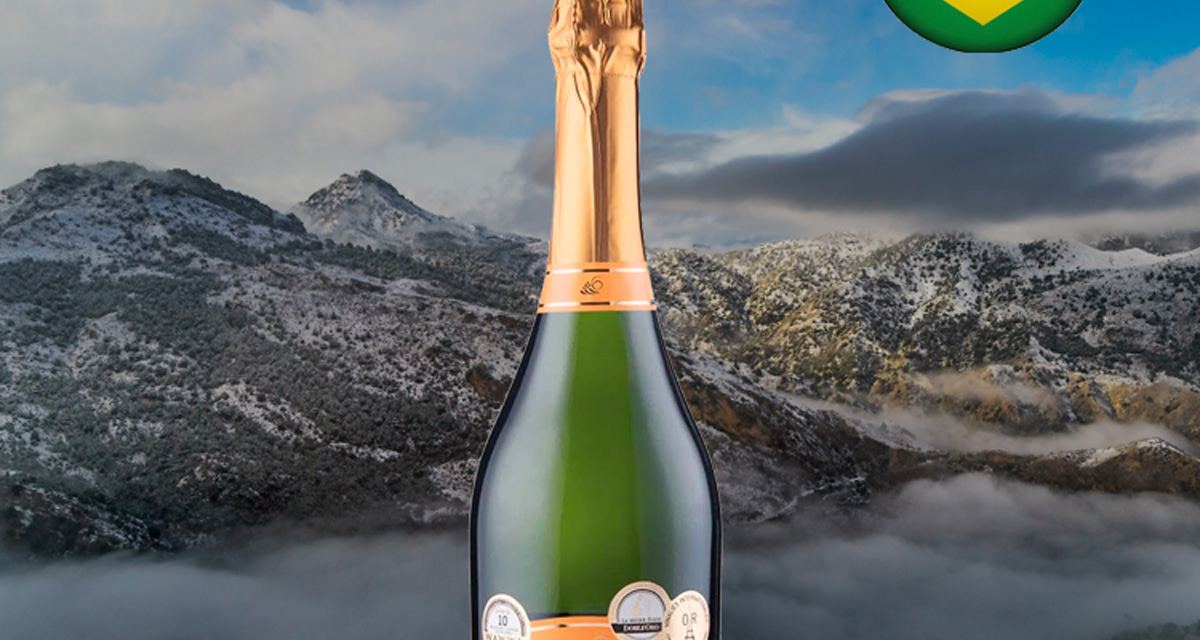 Espumante Garibaldi Prosecco Brut - Oferta
