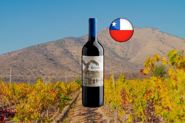 Reyna Merlot Central Valley DO 2022 - Thumbnail