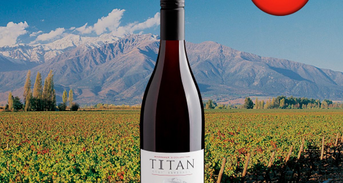 Titan God's Beverages Winemaker’s Collection Pinot Noir Valle Central DO 2022 - Oferta