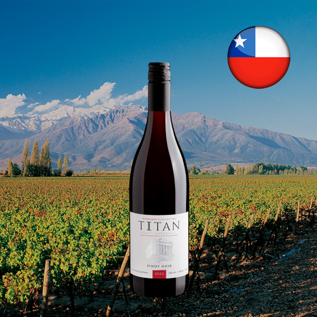 Titan God's Beverages Winemaker's Collection Pinot Noir Valle Central DO 2022 - Oferta