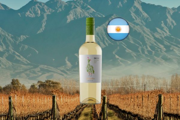 Chac Chac Sauvignon Blanc - Thumbnail