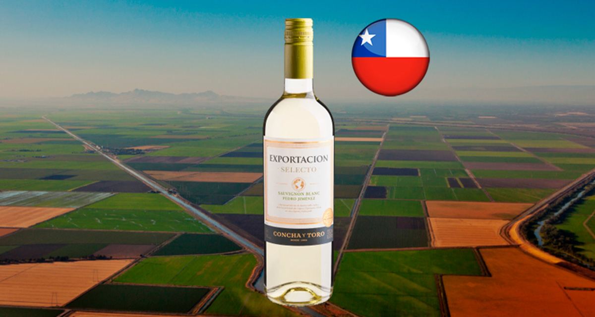 Concha y Toro Exportacion Selecto Sauvignon Blanc-Pedro Jiménez 2023 - Thumbnail