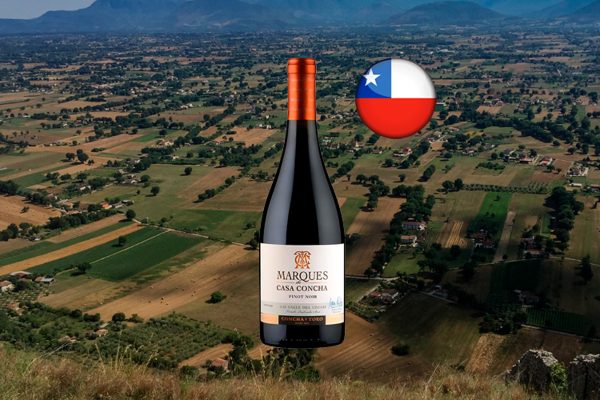 Marques De Casa Concha Pinot Noir - Thumbnail