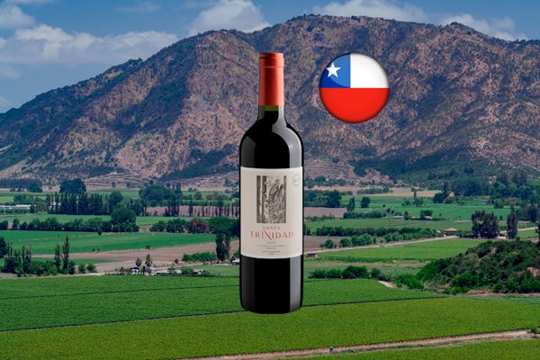 Santa Trindad Cabernet Sauvignon Merlot Valle Central DO 2022 Thumbnail