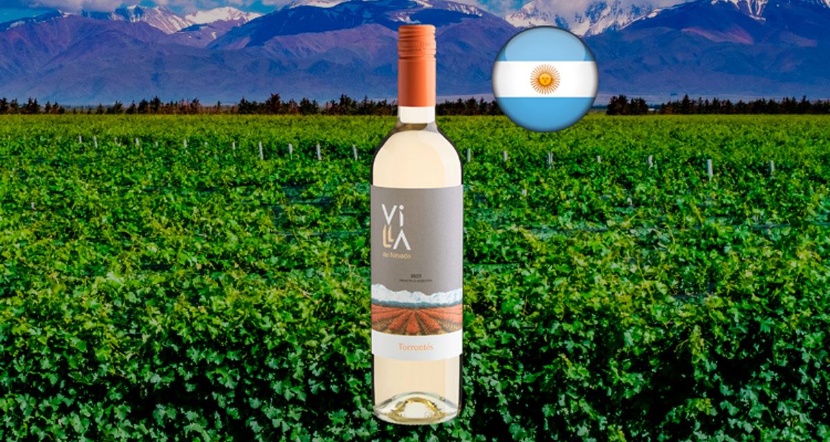 Villa del Nevado Torrontés 2023 - Thumbnail