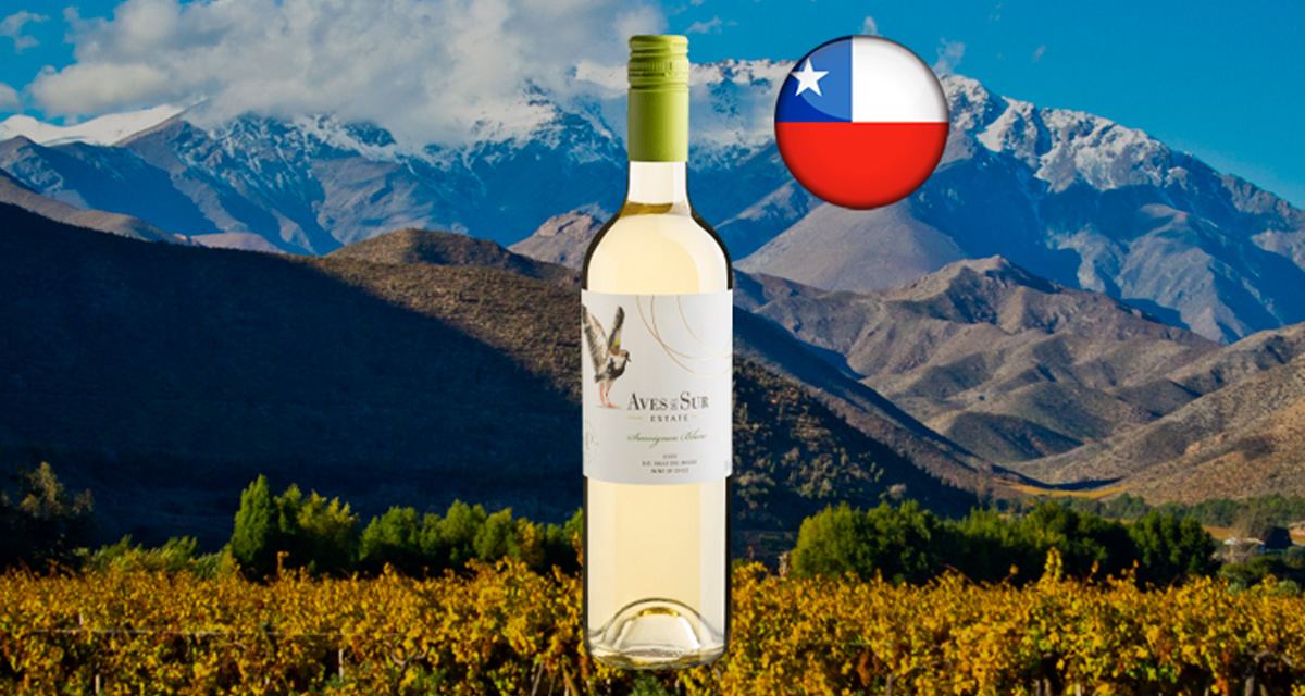 Aves Del Sur Sauvignon Blanc Valle del Maule DO 2023 - Thumbnail