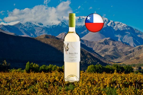 Aves Del Sur Sauvignon Blanc Valle del Maule DO 2023 - Thumbnail