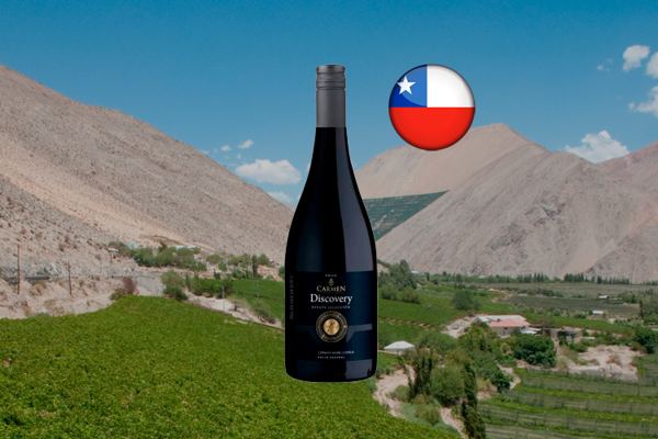 Carmen Discovery Estate Pinot Noir 2020 - Thumbnail