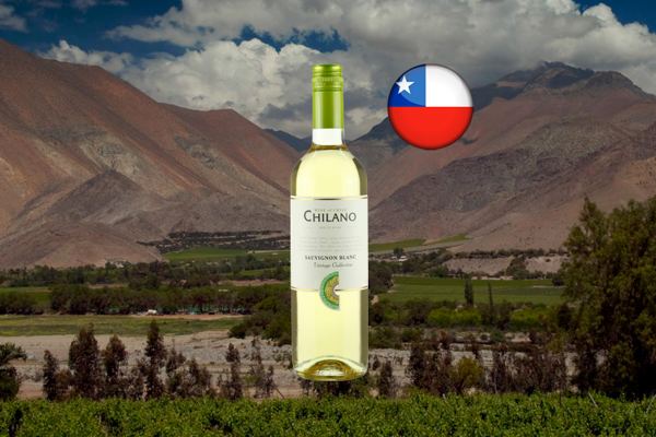 Chilano Sauvignon Blanc - Thumbnail