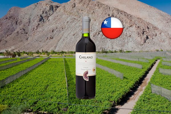 Chilano Syrah Vintage Collection - Thumbnail