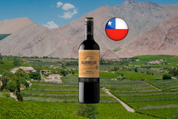 Concha Y Toro Sunrise Merlot 2019 - Thumbnail