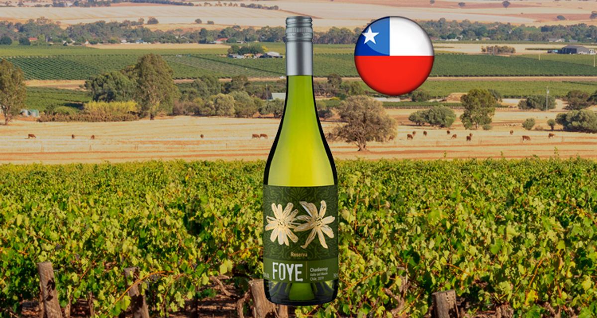 Foye Reserva Chardonnay - Thumbnail