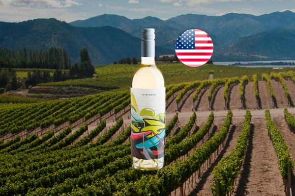 Intrinsic Sauvignon Blanc 2021 - Thumbnail