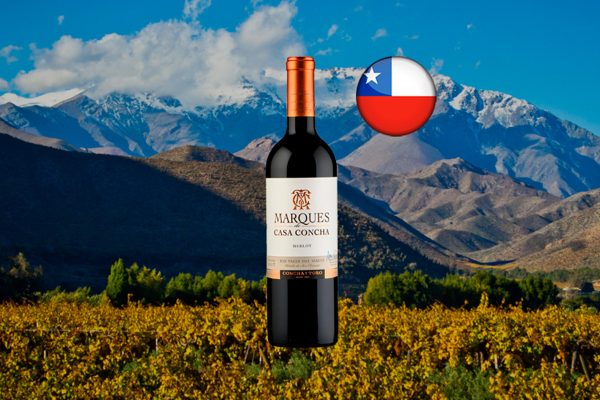 Marques De Casa Concha Merlot - Thumbnail
