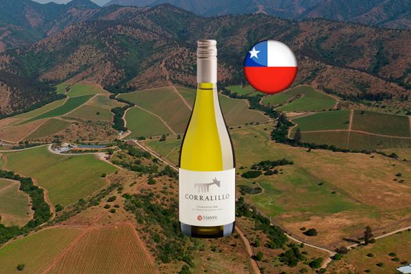 Matetic Corralillo Chardonnay 2019 - Thumbnail