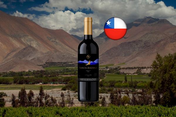 Santa Andina Reservado Merlot - Thumbnail
