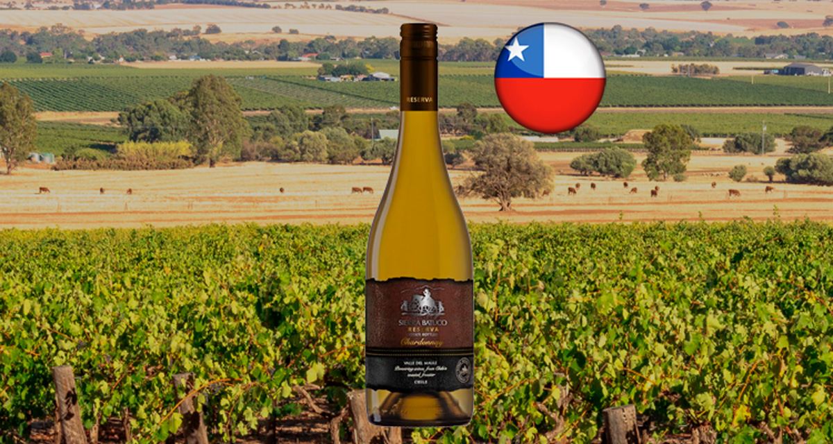 Sierra Batuco Reserva Chardonnay 2022 - Thumbnail
