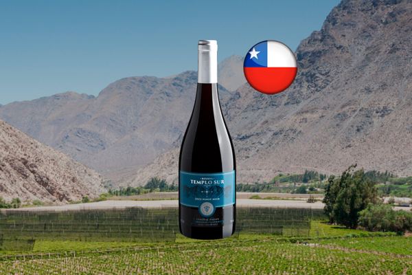 Templo Sur Limited Series Reserva Pinot Noir 2022 Thumbnail