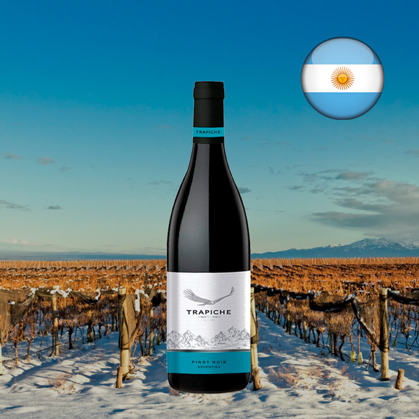 Trapiche Vineyards Pinot Noir - Oferta