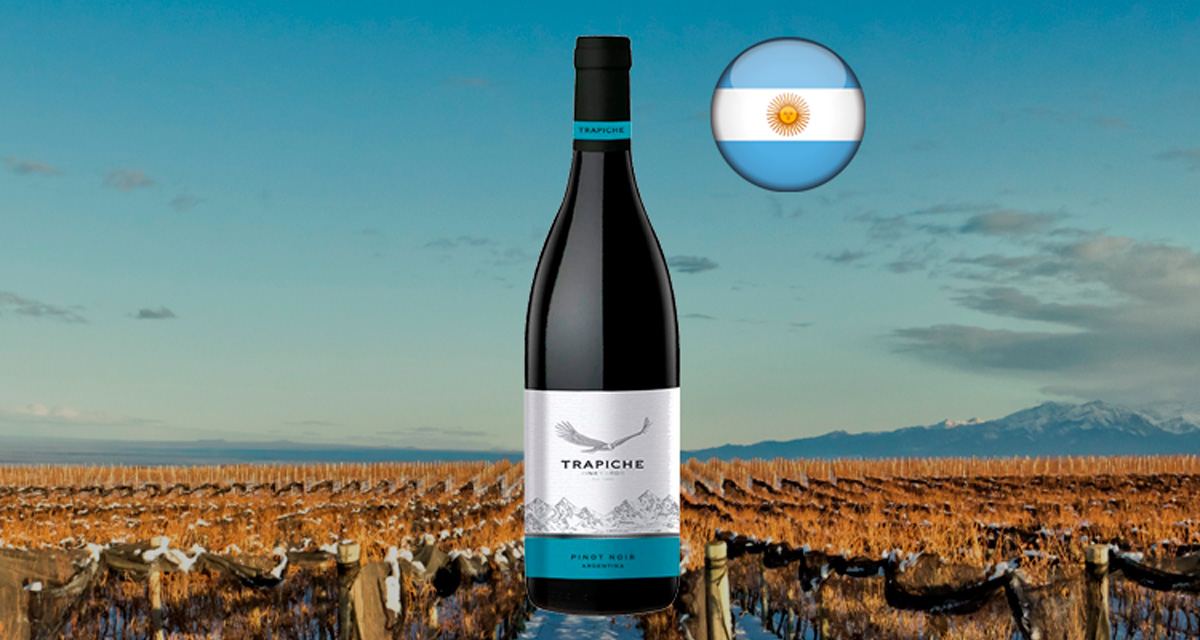 Trapiche Vineyards Pinot Noir - Thumbnail