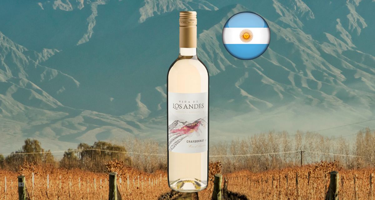 Viña de Los Andes Chardonnay 2023 - Thumbnail