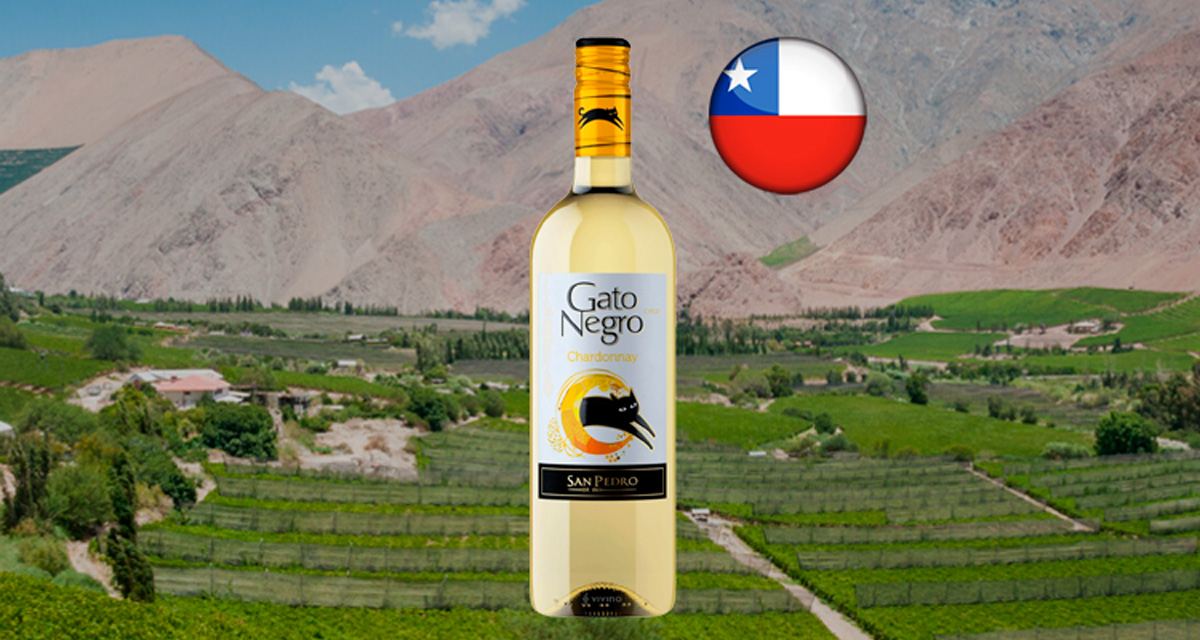 Vinho Gato Negro Chardonnay - Thumbnail
