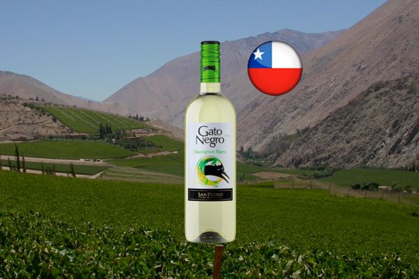 Vinho Gato Negro Sauvignon Blanc - Thumbnail