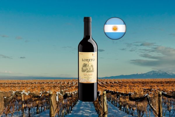 Virrey Loreto Syrah-Malbec 2023 - Thumbnail