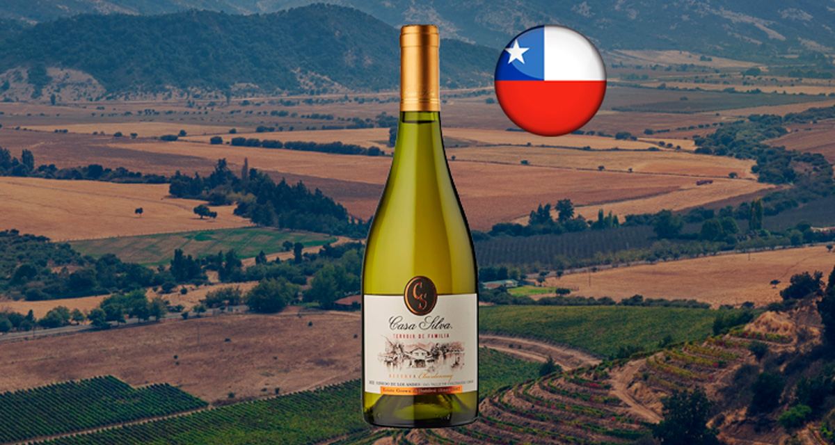Casa Silva Terroir de Família Reserva Chardonnay - Thumbnail