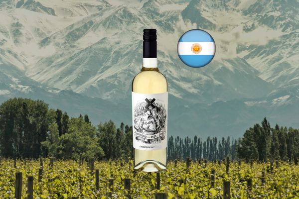 Cordero con Piel de Lobo Chardonnay 2020 - Thumbnail