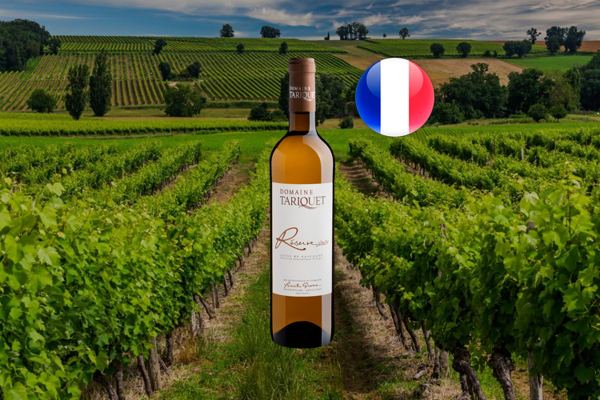 Domaine Tariquet Réserve Côtes de Gascogne IGP 2021 - Thumbnail