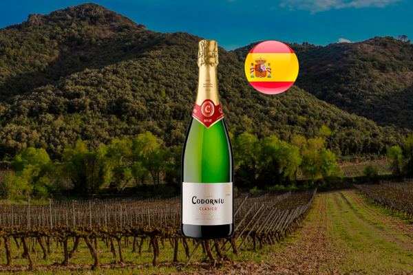 Espumante Cava Codorníu Clasico Brut - Thumbnail