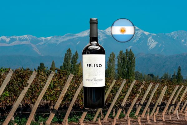 Felino Cabernet Sauvignon Cobos 2020 - Thumbnail