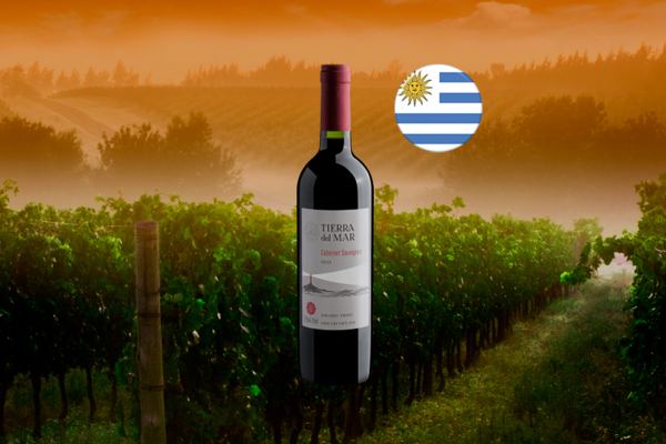 La Mirada Cabernet Sauvignon 2022 - Thumbnail