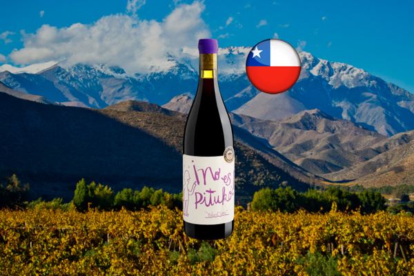 No es Pituko Carignan 2022 - Thumbnail