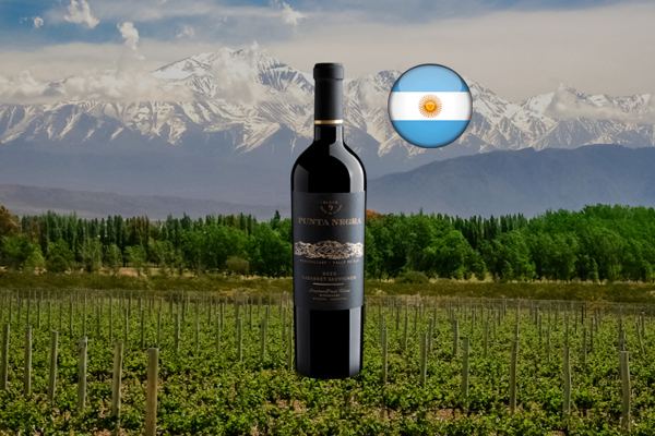 Punta Negra Block 9 Cabernet Sauvignon 2022 - Thumbnail