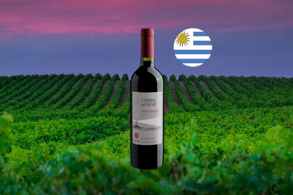 Tierra del Mar Cabernet Sauvignon 2022 - Thumbnail