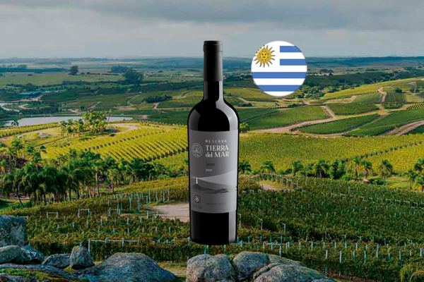 Tierra del Mar Reserva Tannat 2021 - Thumbnail