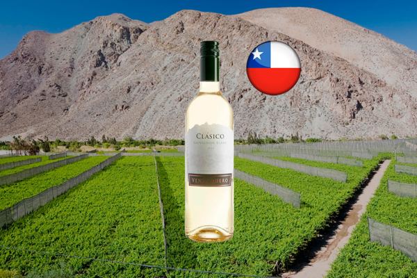Ventisquero Clásico Sauvignon Blanc 2021 - Thumbnail