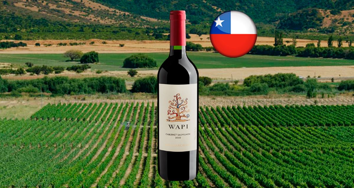 Wapi Cabernet Sauvignon Valle de Colchagua DO 2022 - Thumbnail