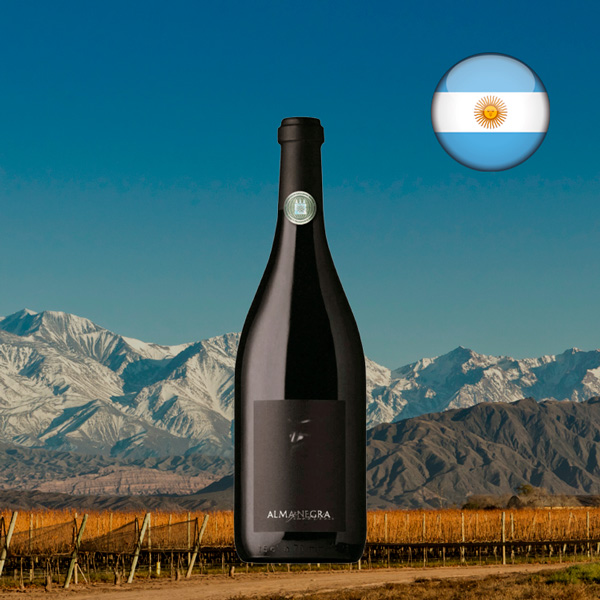 Alma Negra Pinot Noir 2021 - Oferta